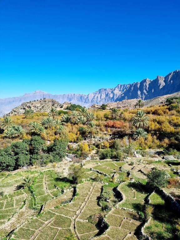 Green terraced gardens beneath the rocky mountains